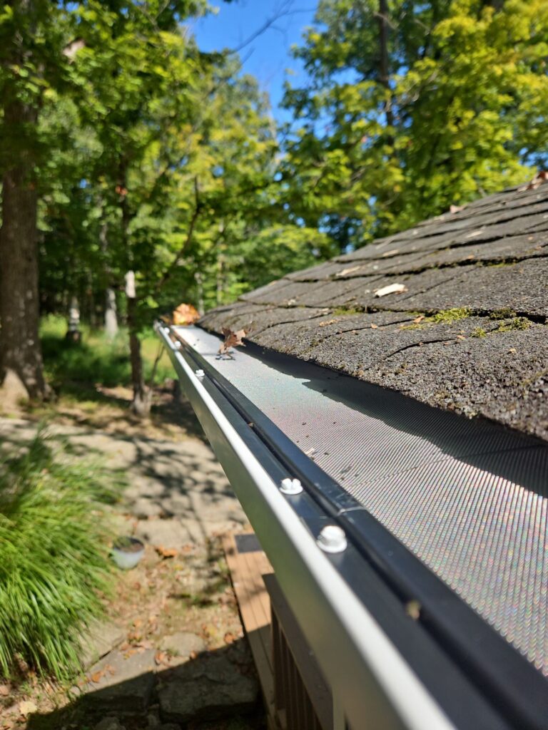 Professional gutter cleaning service in Georgetown, KY
